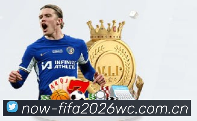 2026世界杯官方数据应用界面