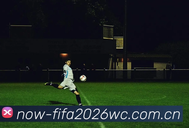 FIFA 官方数据授权认证